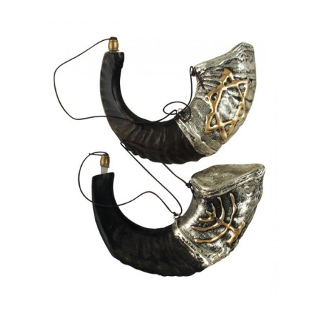 Rams Horn Anointing Vessel Sterling Silve... | Sterling Silver Shofars