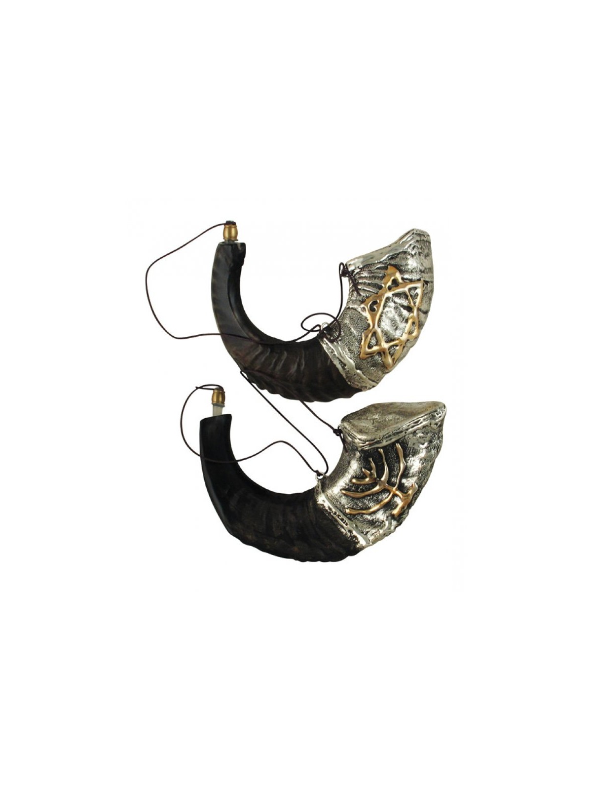 Rams Horn Anointing Vessel Sterling Silve... | Sterling Silver Shofars