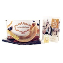 Polished Rams Horn Shofar with Bag and Cleaning... | Rams Horn Shofars