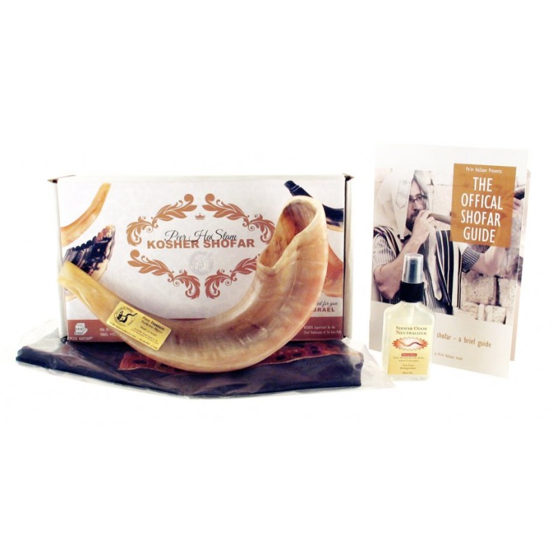 Polished Rams Horn Shofar with Bag and Cleaning... | Rams Horn Shofars