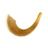Polished Rams Horn Shofar with Bag and Cleaning... | Rams Horn Shofars