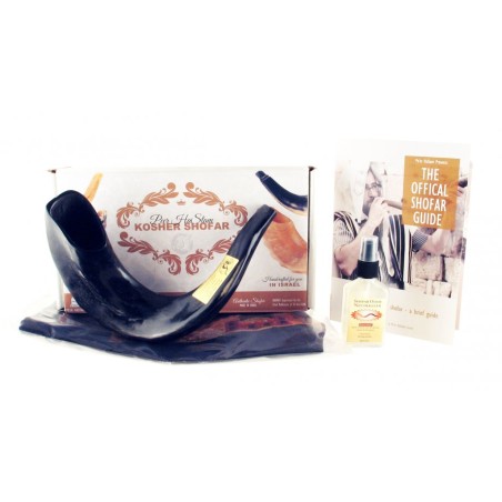 Shofar en corne de bélier noir poli avec sac et cl... | Shofars en corne de bélier