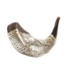 Shofar plaqué argent et or | Shofars en argent sterling