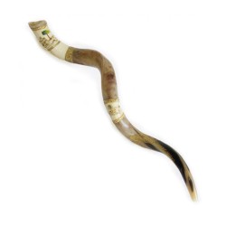 Jumbo Yemenite Hand Painted Shofar Jerusalem wit... | Yemenite Shofars