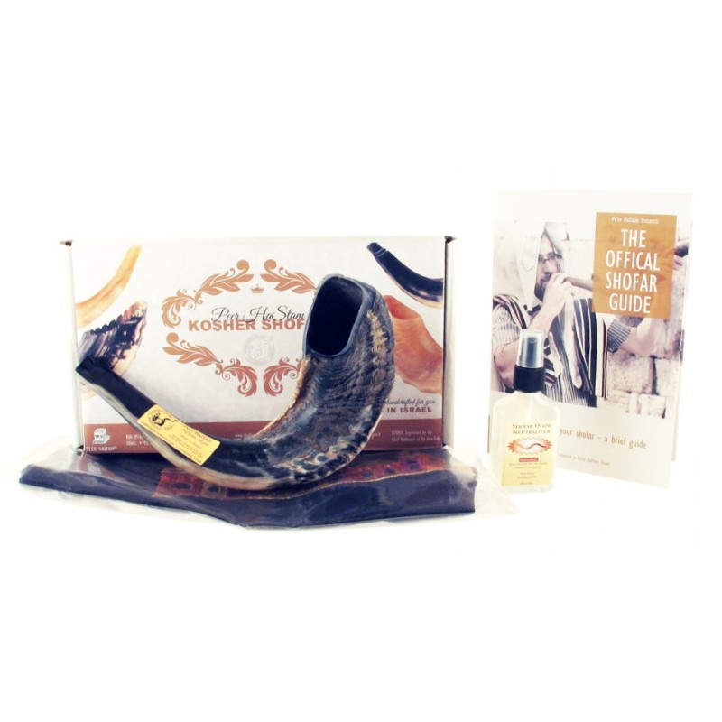 Natural Black Rams Horn Shofar with Bag and Cle... | Rams Horn Shofars