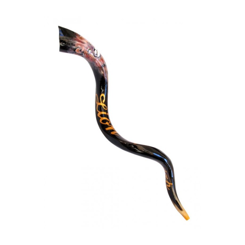 Collectors Hand Painted Yemenite Shofar Lion of... | Decorated Shofars