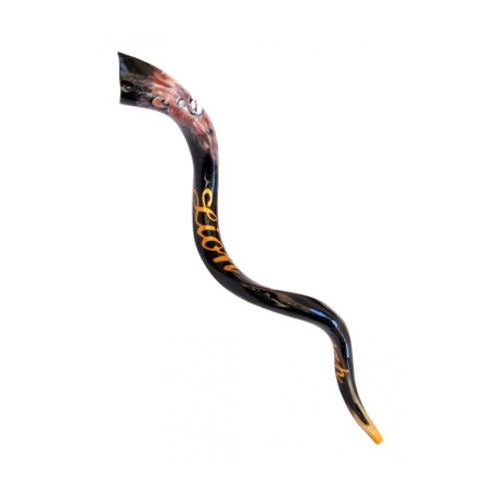 Collectors Hand Painted Yemenite Shofar Lion of... | Decorated Shofars