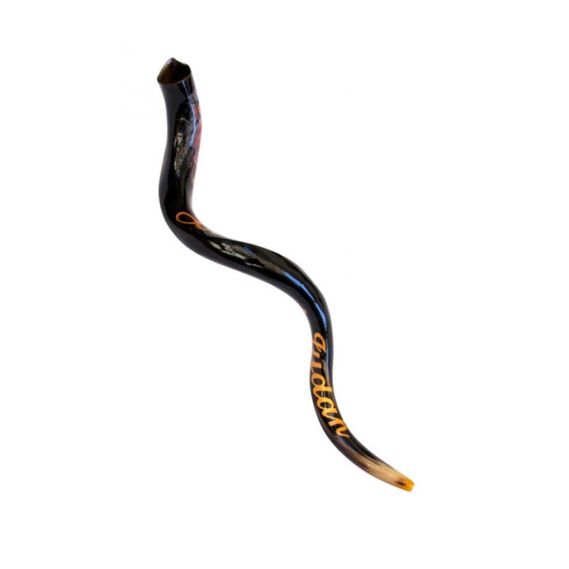 Lion de Shofar yéménite peint à la main de collectionneurs... | Shofars décorés
