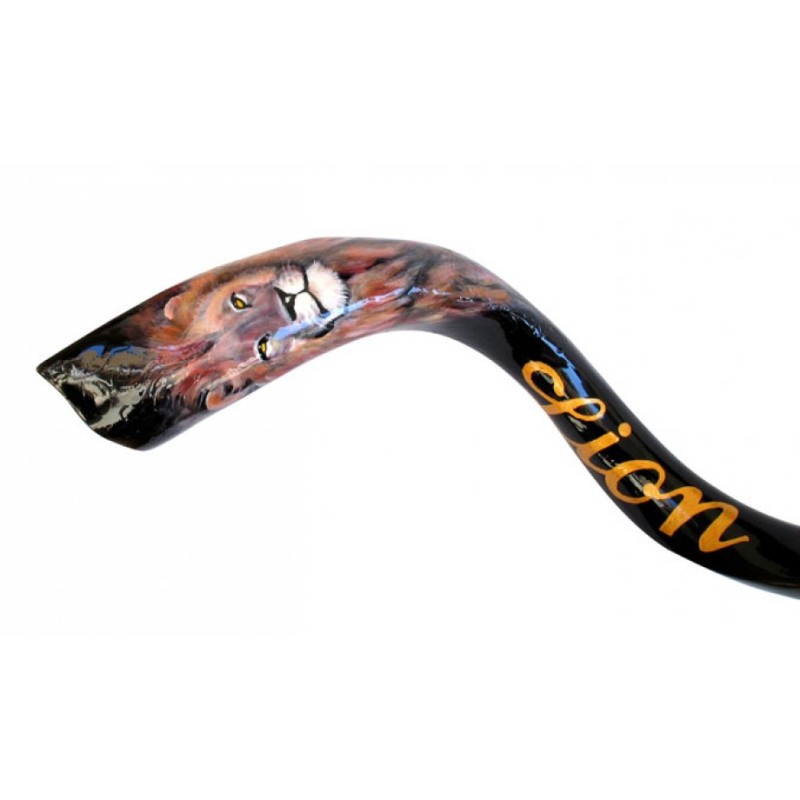 Collectors Hand Painted Yemenite Shofar Lion of... | Decorated Shofars
