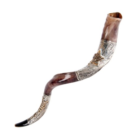 Decorative Yemenite Shofar with Sterling ... | Sterling Silver Shofars