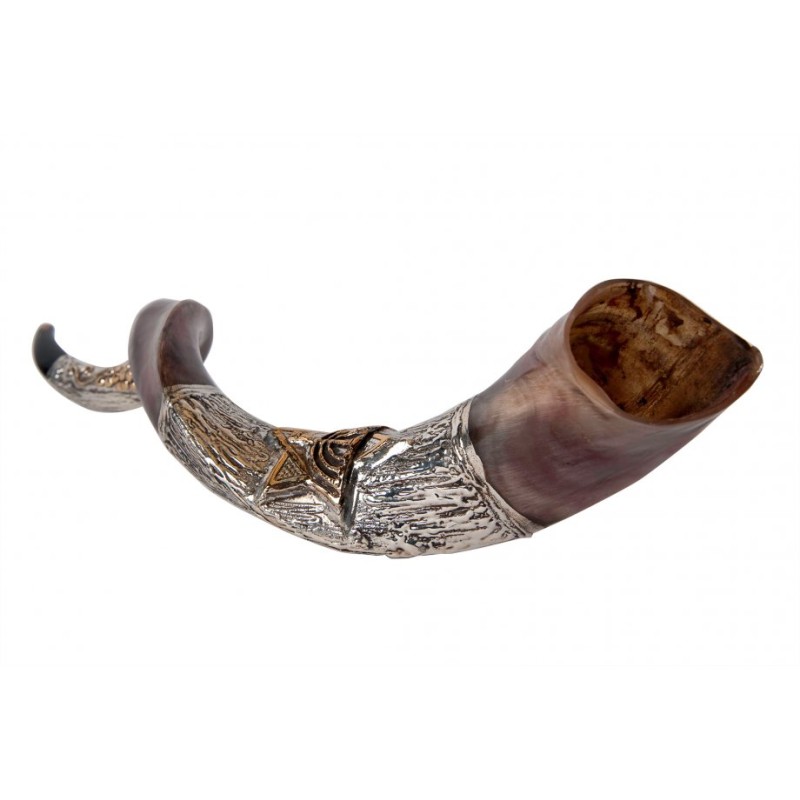 Decorative Yemenite Shofar with Sterling ... | Sterling Silver Shofars