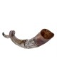 Decorative Yemenite Shofar with Sterling ... | Sterling Silver Shofars