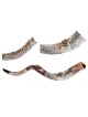 Decorative Yemenite Shofar with Sterling ... | Sterling Silver Shofars