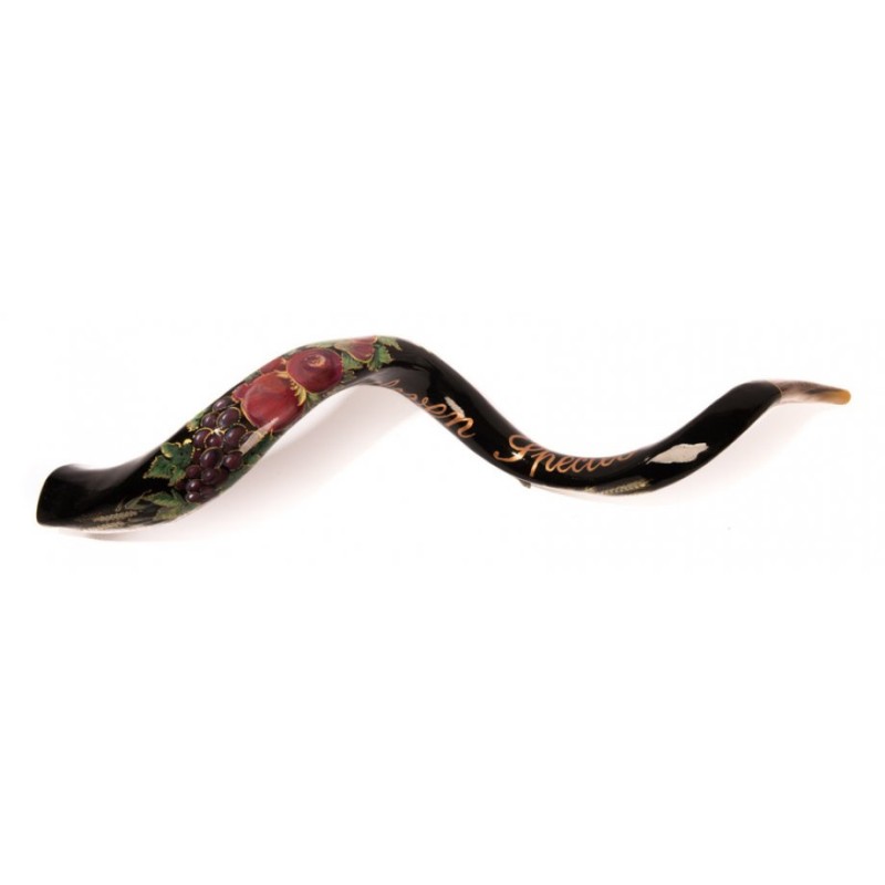 Collectors Hand Painted Yemenite Shofar Dark Se... | Decorated Shofars
