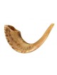 Natural Rams Horn Shofar with Bag and Cleaning ... | Rams Horn Shofars