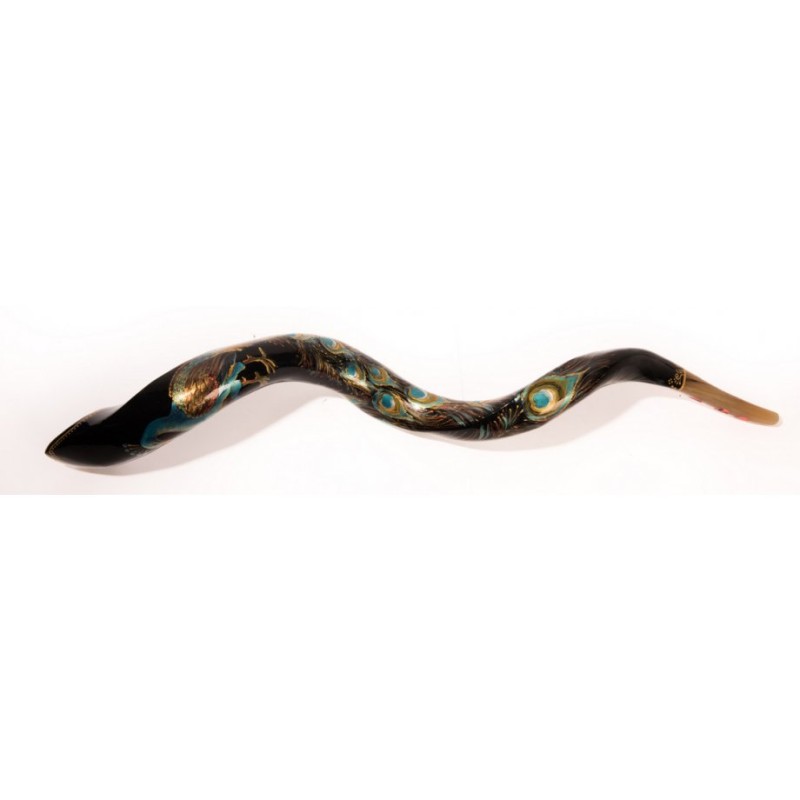 Collectors Hand Painted Yemenite Shofar Peacock | Decorated Shofars