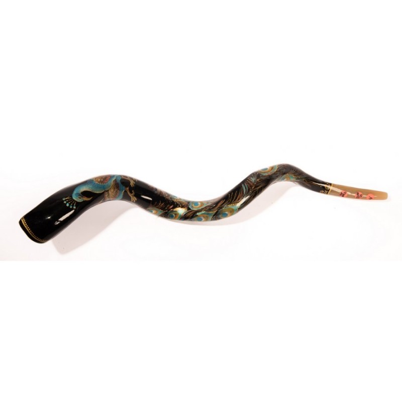 Collectors Hand Painted Yemenite Shofar Peacock | Decorated Shofars
