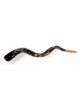 Paon Shofar yéménite peint à la main | Shofars décorés