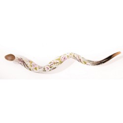 Collectors Hand Painted Yemenite Shofar Spring ... | Decorated Shofars