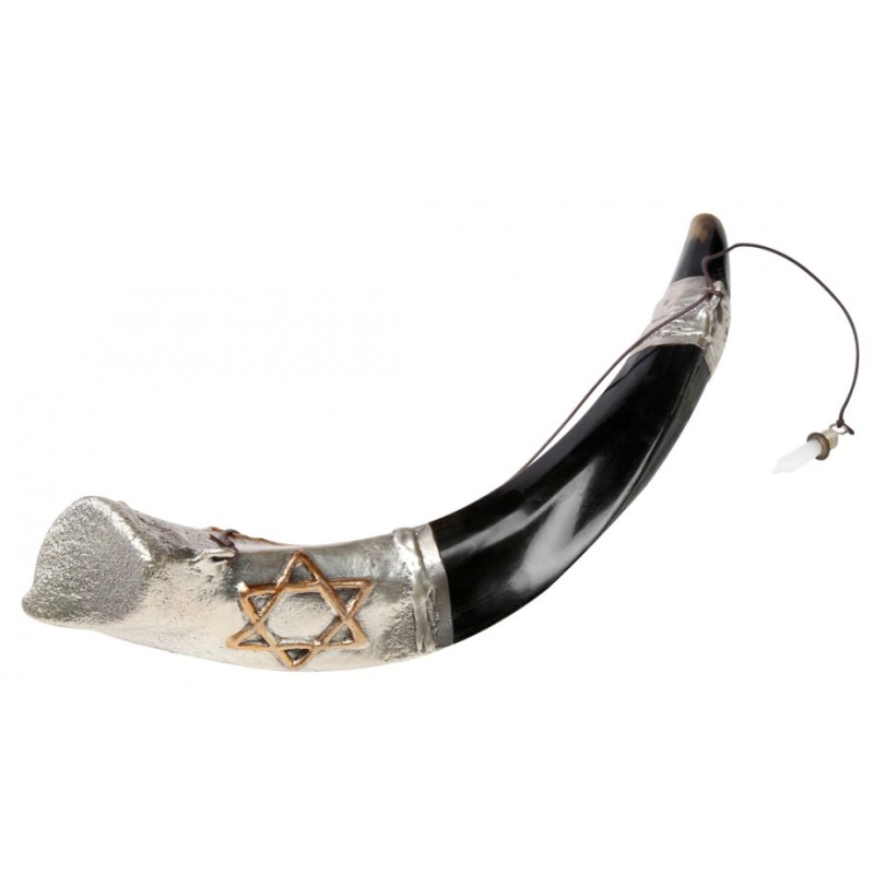 Anointing Sterling Silver Yemenite Shofar... | Sterling Silver Shofars