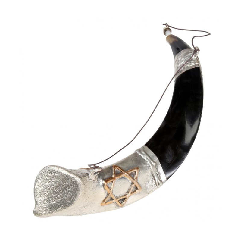 Anointing Sterling Silver Yemenite Shofar... | Sterling Silver Shofars