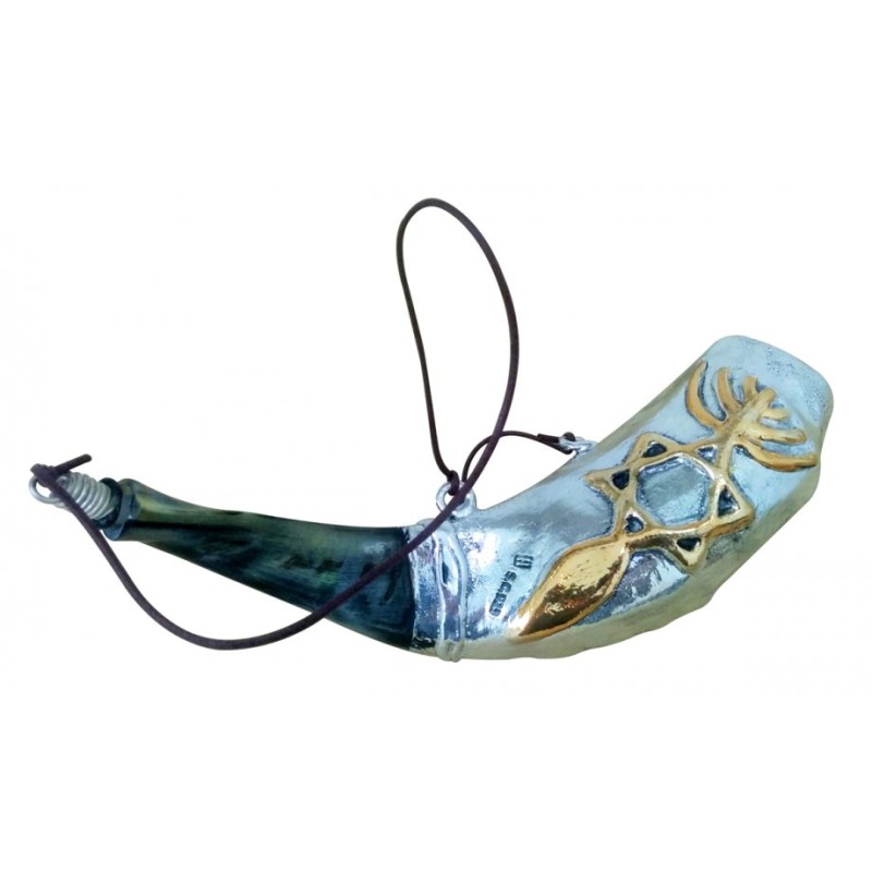 Onction du Shofar en corne de bélier en argent sterling | Shofars en argent sterling