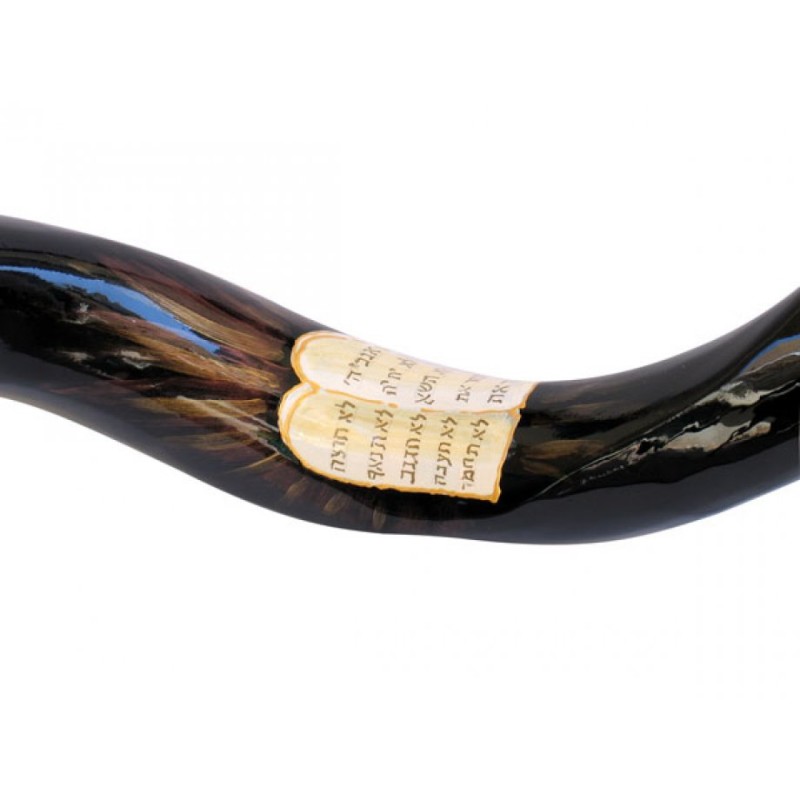 Collectors Hand Painted Yemenite Shofar Ten Com... | Decorated Shofars