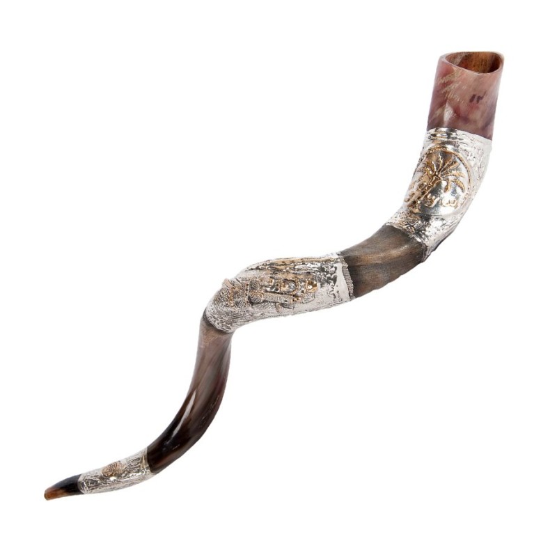 Date Palm Coin and Jerusalem Sterling Sil... | Sterling Silver Shofars