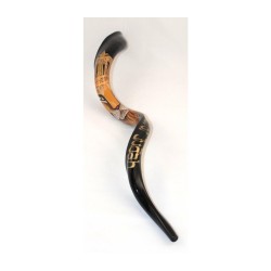 Hand Painted Yemenite Shofar Lion of Judah with... | Decorated Shofars