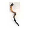 Hand Painted Yemenite Shofar Lion of Judah with... | Decorated Shofars