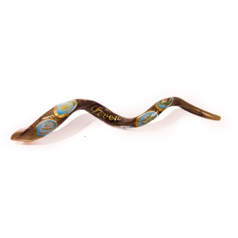 Collectors Hand Painted Yemenite Shofar Seven S... | Decorated Shofars