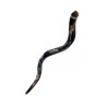 Collectors Hand Painted Yemenite Shofar Noahs Ark | Decorated Shofars