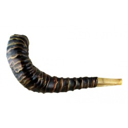Stunning Leather bound Rams Horn Shofar | Decorated Shofars
