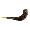 Stunning Leather bound Rams Horn Shofar | Decorated Shofars
