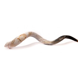 Collectors Hand Painted Yemenite Shofar Gold Lyre | Decorated Shofars