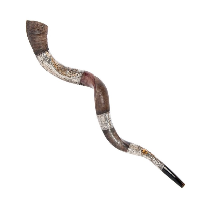 Decorative Yemenite Shofar with Sterling ... | Sterling Silver Shofars