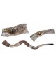 Decorative Yemenite Shofar with Sterling ... | Sterling Silver Shofars