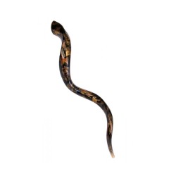 Collectors Hand Painted Yemenite Shofar Gold Gr... | Decorated Shofars