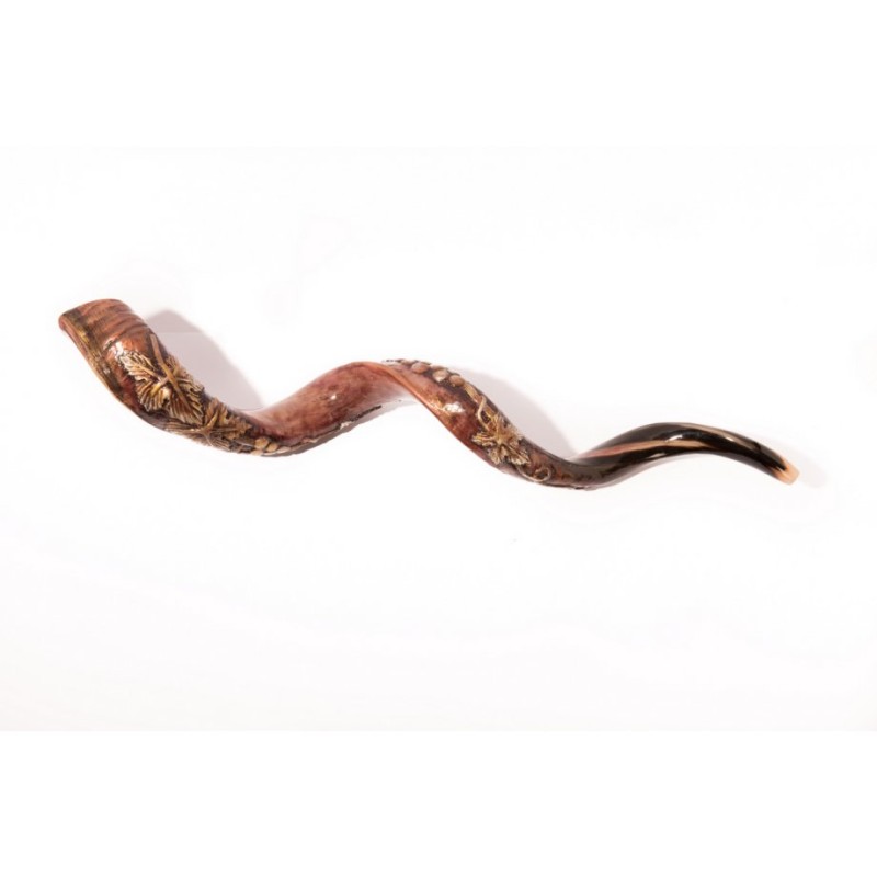 Hand Sculpted Yemenite Shofar 3D Grapevine Design | Decorated Shofars