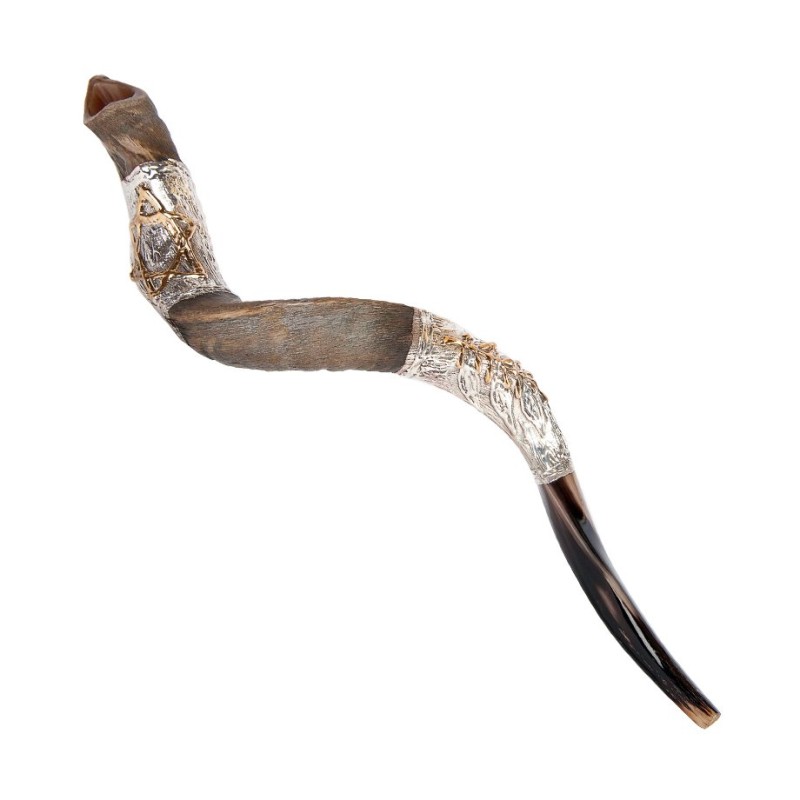 Star of David Leaf Design Sterling Silver... | Sterling Silver Shofars