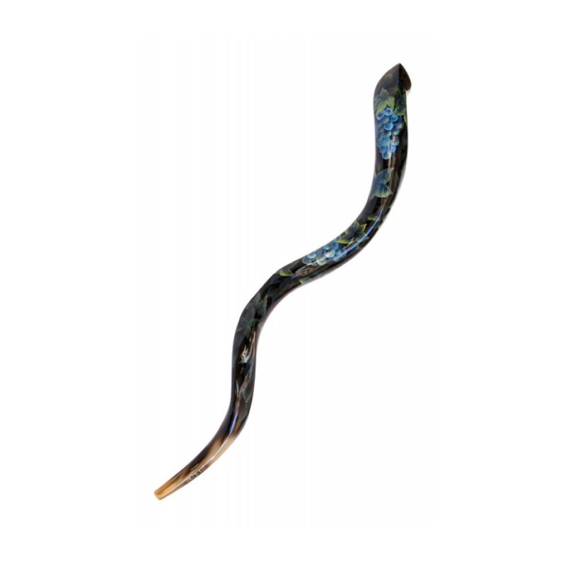 Collectors Hand Painted Yemenite Shofar Grapevine | Decorated Shofars