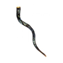 Collectors Hand Painted Yemenite Shofar Grapevine | Decorated Shofars