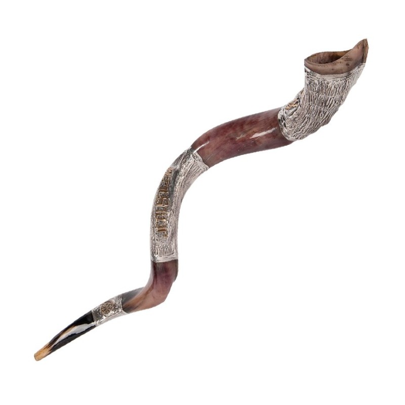 Jerusalem Ancient Coin Design Silver Yeme... | Sterling Silver Shofars