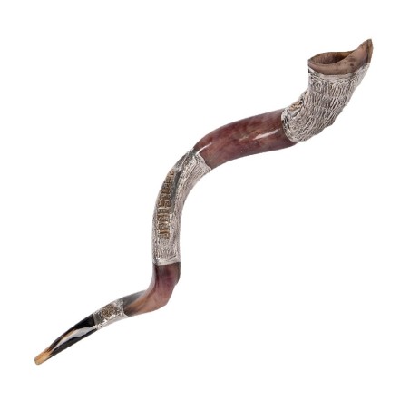 Jerusalem Ancient Coin Design Silver Yeme... | Sterling Silver Shofars