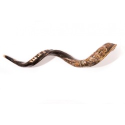 Hand Sculpted Yemenite Shofar Jerusalem | Decorated Shofars