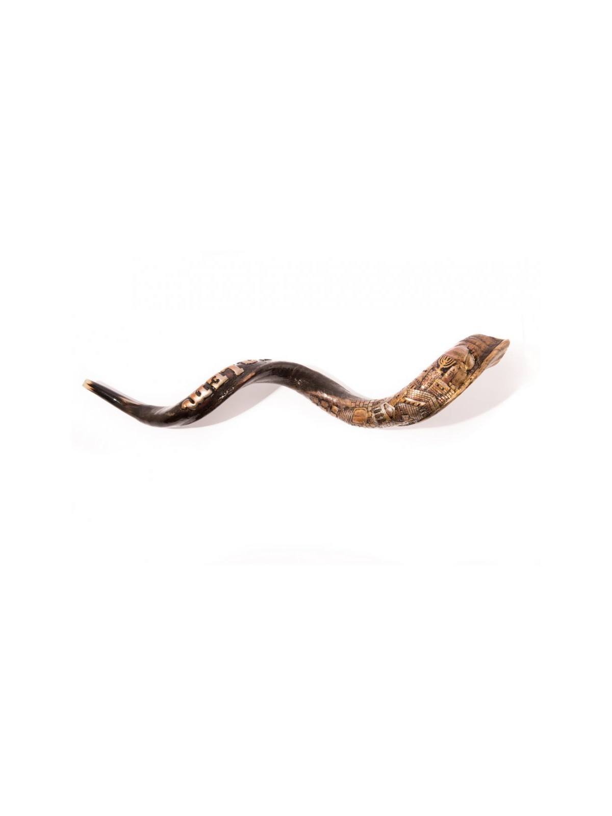 Hand Sculpted Yemenite Shofar Jerusalem | Decorated Shofars