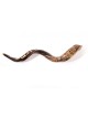 Hand Sculpted Yemenite Shofar Jerusalem | Decorated Shofars