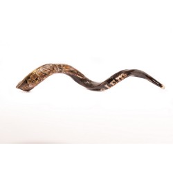 Hand Sculpted Yemenite Shofar Jerusalem | Decorated Shofars