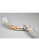 Hand Painted Yemenite Shofar with 7 Branch Meno... | Decorated Shofars