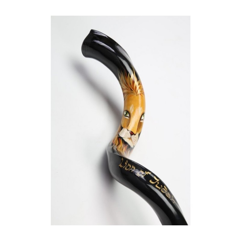 Hand Painted Yemenite Shofar Lion of Judah | Decorated Shofars